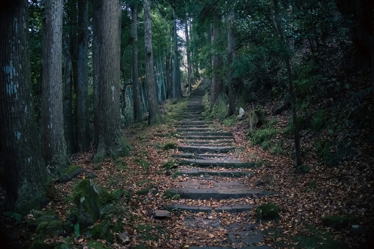 Stone path among cedars towards Onsenji temple in Kinosaki