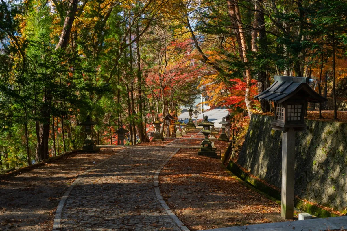 Tree-lined path with stone lanterns towards a Takayama shrine in autumn