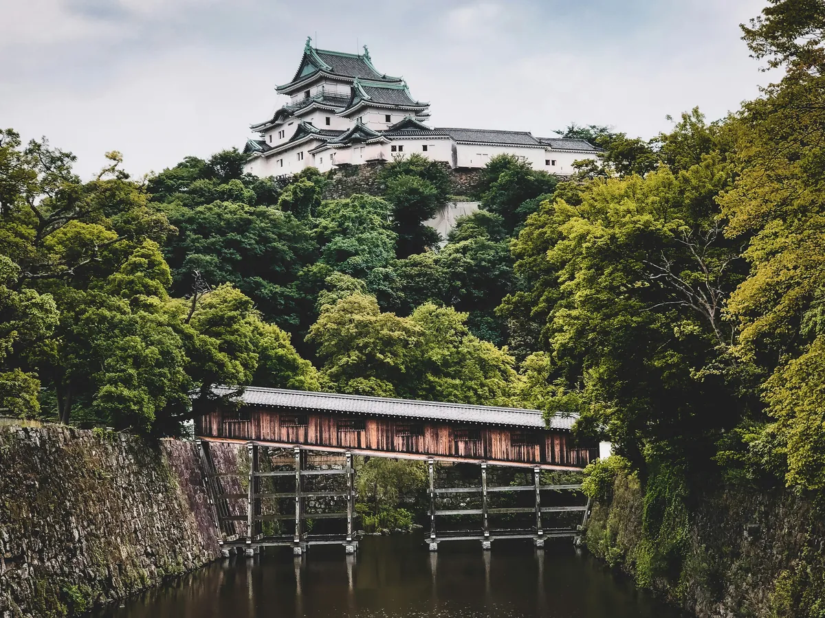 The white keep of Wakayama Castle on the wooded hill, with the covered Ohashi Roka bridge crossing the moat
